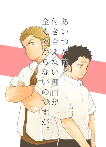 Aitsu ga Ore to Tsukiaenai Riyuu ga Mattaku Wakaranai no desu ga. cover
