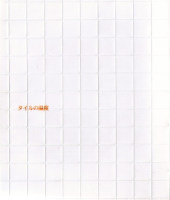 Tile no Ondo cover
