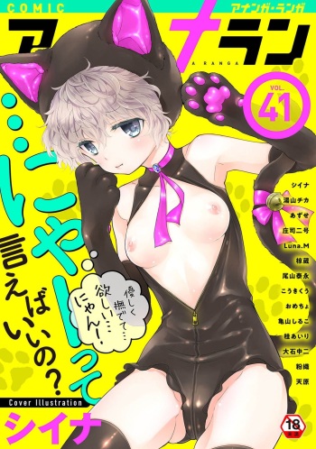 COMIC Ananga Ranga Vol. 41 cover