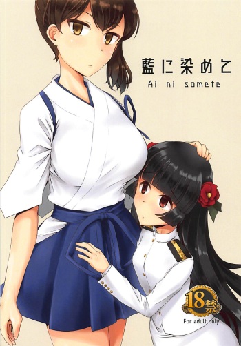 Ai ni somete cover