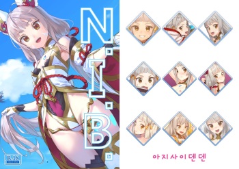 N.I.B. cover
