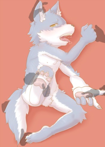 Reizou Hozon cover