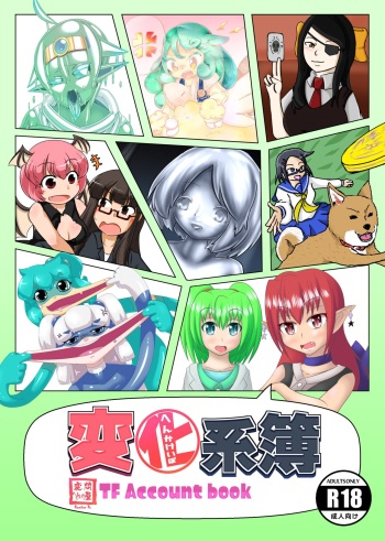 Henka-kei-bo TF Account book cover