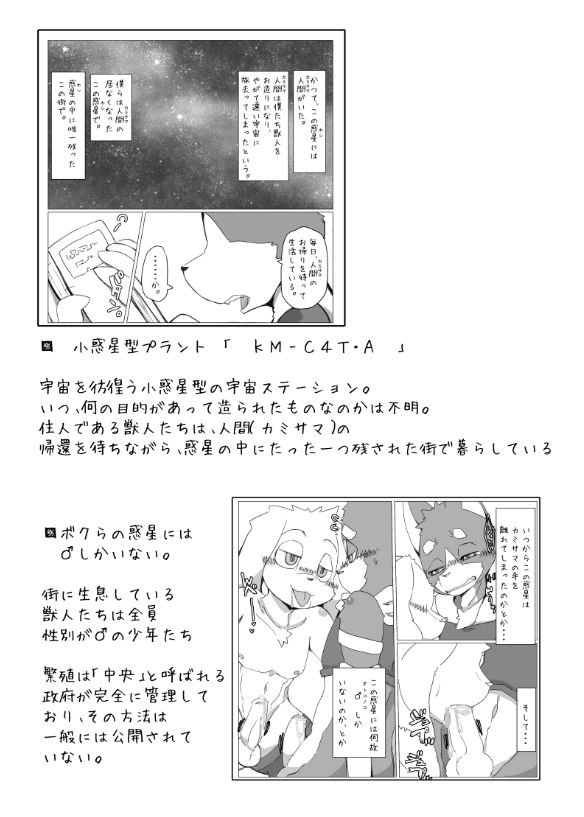 Motoichi -【けもケット６】ボクらの惑星には♂しかいない。【J-05】 page 10 full