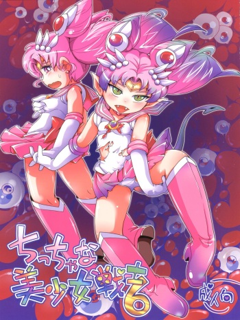 Chiccha na Bishoujo Senshi 6 cover