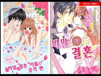 Naisho no Love Mariage | 비밀의 결혼 cover
