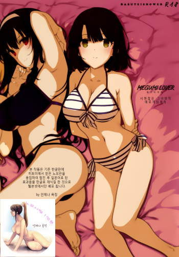 MEGUMI LOVER Saenai Kanojo To Erogezukuri cover
