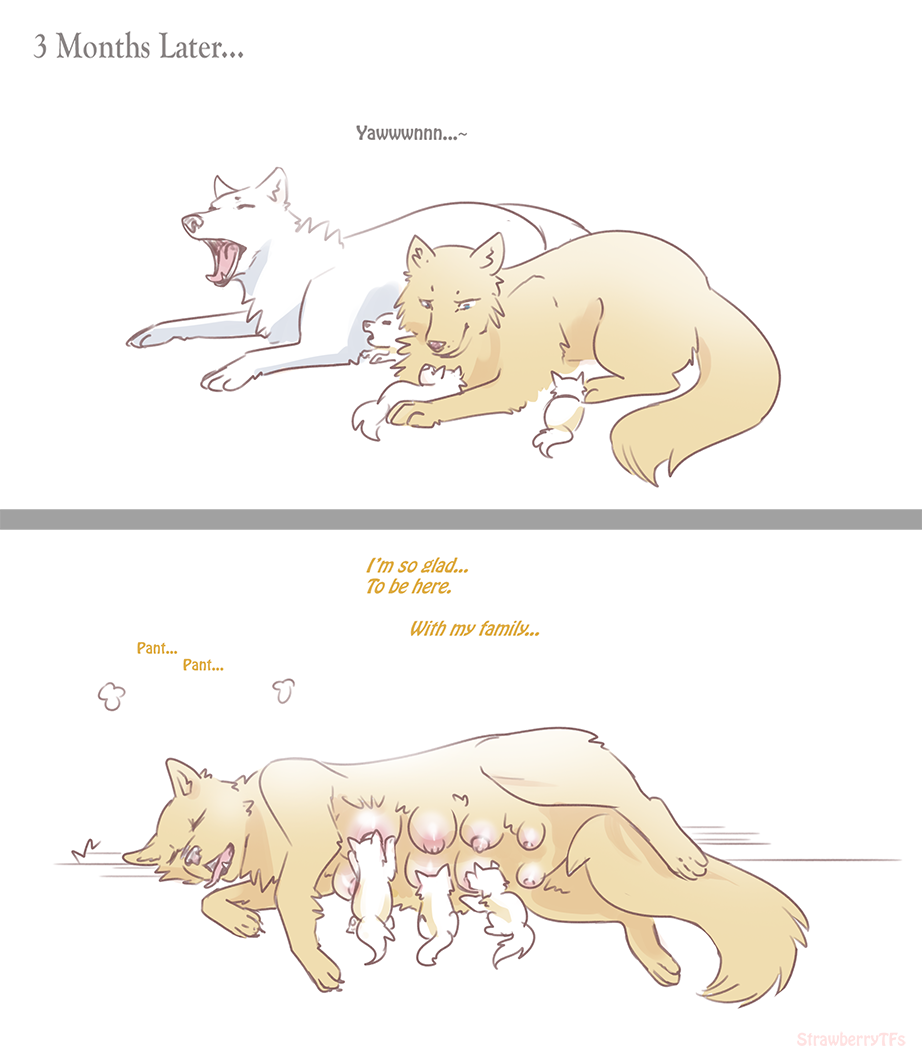 Wolf Bite page 4 full