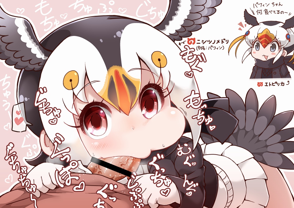 Shikoripa page 4 full