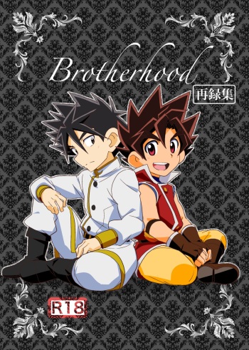 Brotherhood Sairokushuu cover