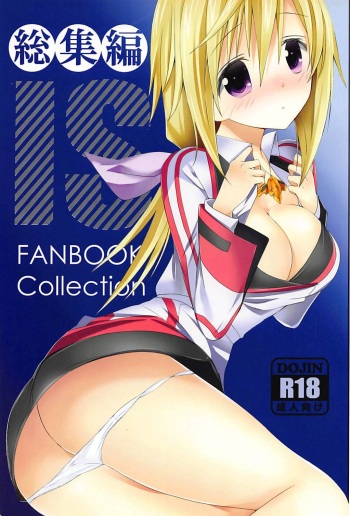 IS Soushuuhen cover