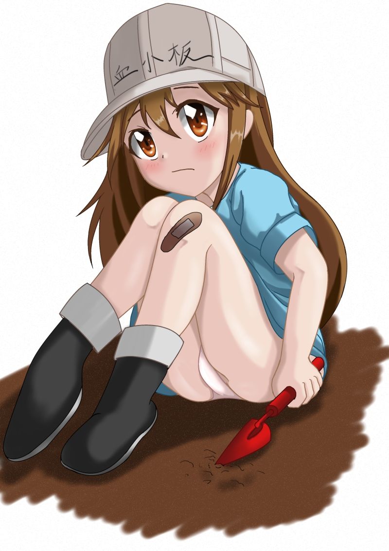 Platelet page 8 full
