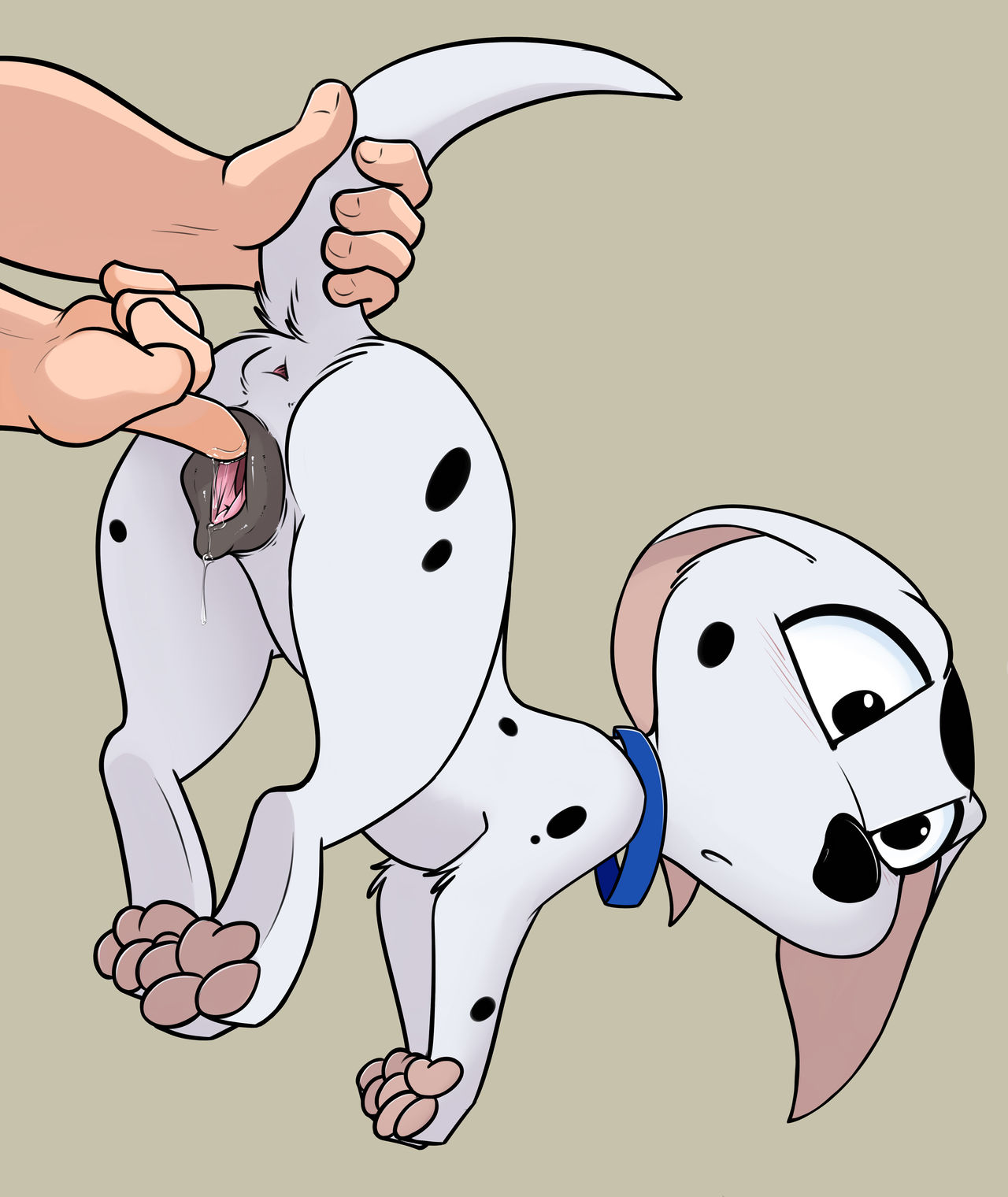 Dogfolio page 4 full
