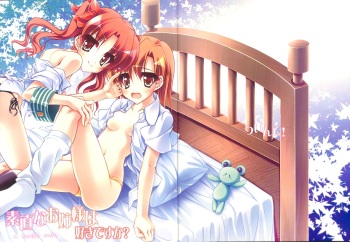 Sunao na Onee-sama wa Suki desu ka? cover