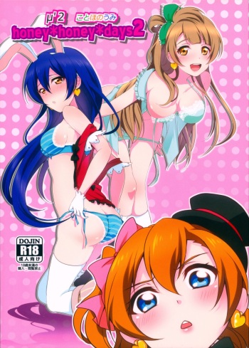 honey*honey*days2 cover