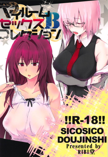 My Room Sex Collection B cover