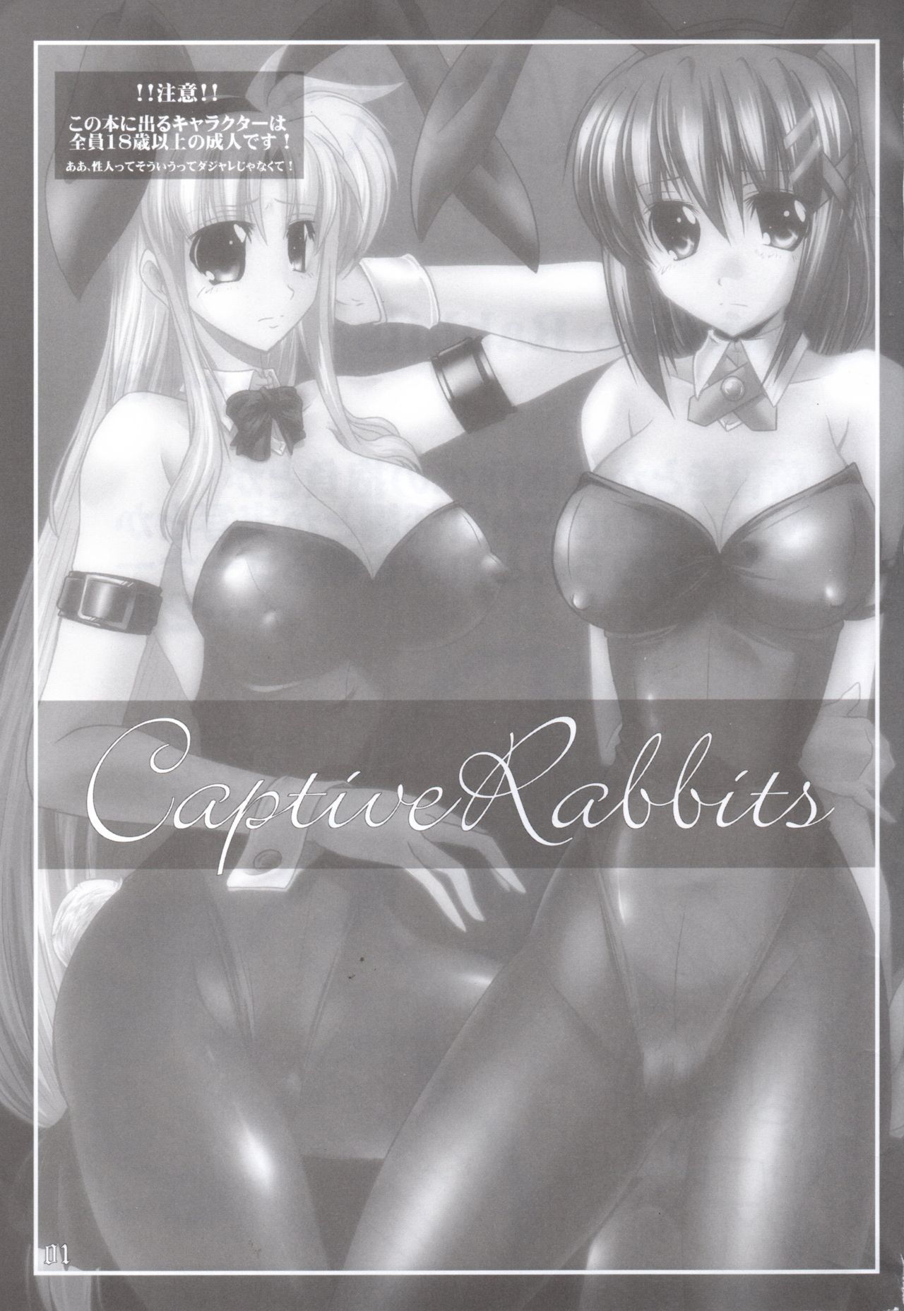 Captive Rabbitl page 2 full
