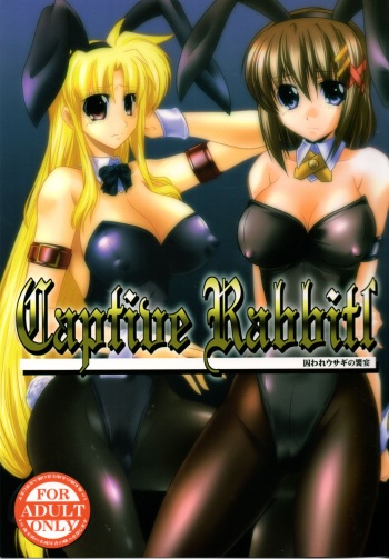 Captive Rabbitl cover