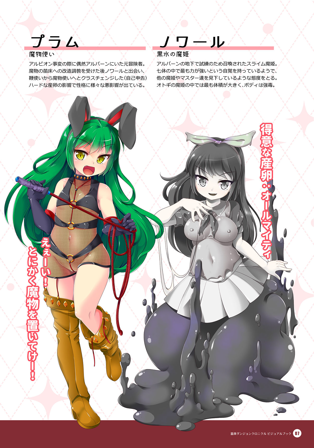 Naedoko Dungeon Chronicle Official Design Works page 6 full