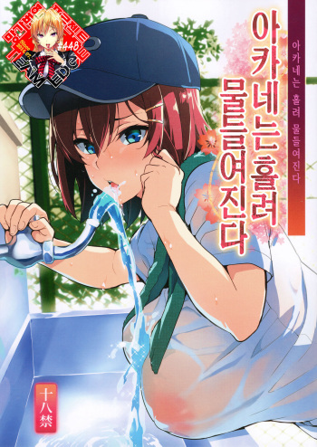 Akane wa Tsumare Somerareru + C94 Rakugakichou | 아카네는 홀려 물들여진다 + C94 낙서 장 cover