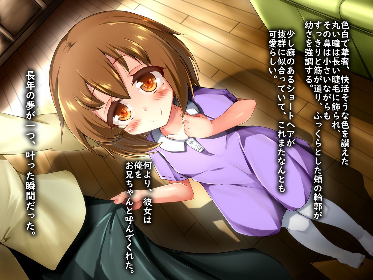 Sono Hi, Imouto ga Deki Mashite ~Muku na ano ko to Yaritai Houdai~ page 6 full