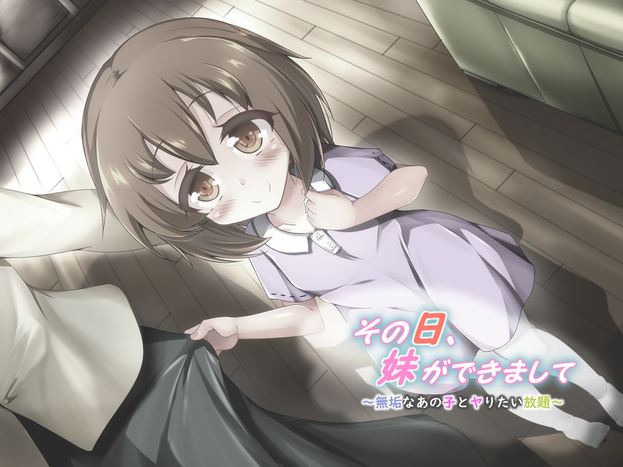 Sono Hi, Imouto ga Deki Mashite ~Muku na ano ko to Yaritai Houdai~ page 9 full