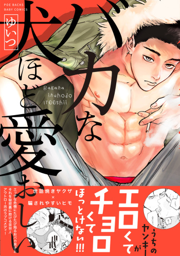 Baka na Inuhodo Itooshii cover
