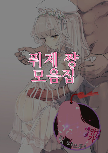 Fize-chan Omatome | 퓌제 쨩 모음립 cover