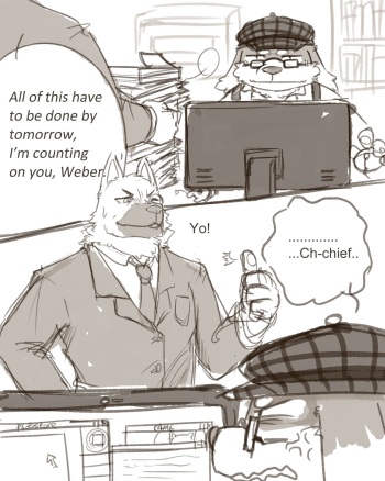 Night in the office cover