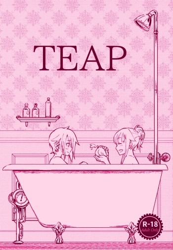 Teap cover