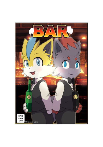 WinickLim - Bar cover
