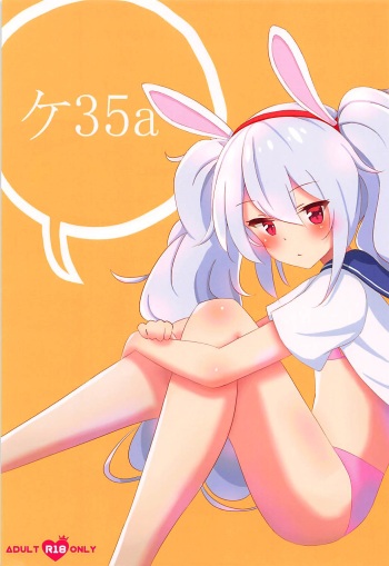 K 35a cover