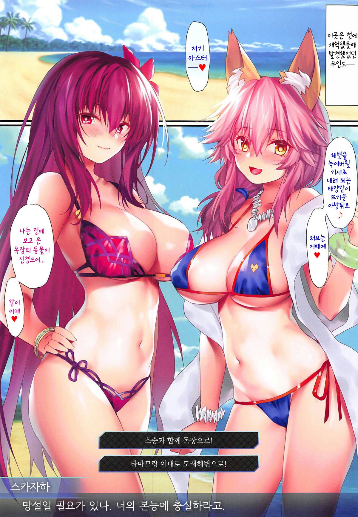 FGO Carnival 17 - Reiju Kaitaku? Tokimeki Summer Vacances | FGO 카니발 17 - 영주개척? 두근두근 바캉스 page 4 full