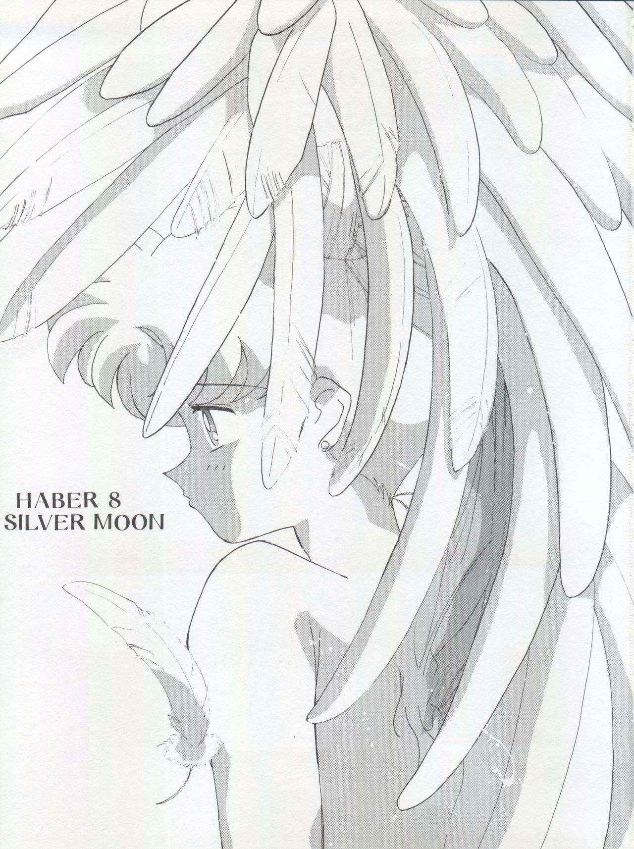HABER 8 ~SILVER MOON~ page 3 full