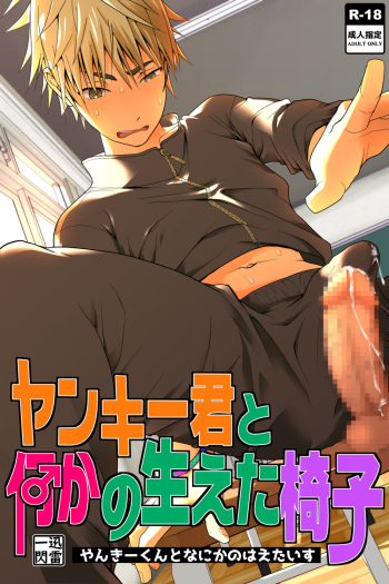 Yankee-kun to Nanikano Haeta Isu cover