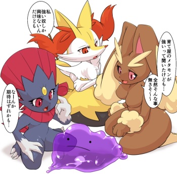 メタモン cover