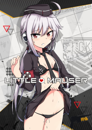 Little Mauser cover