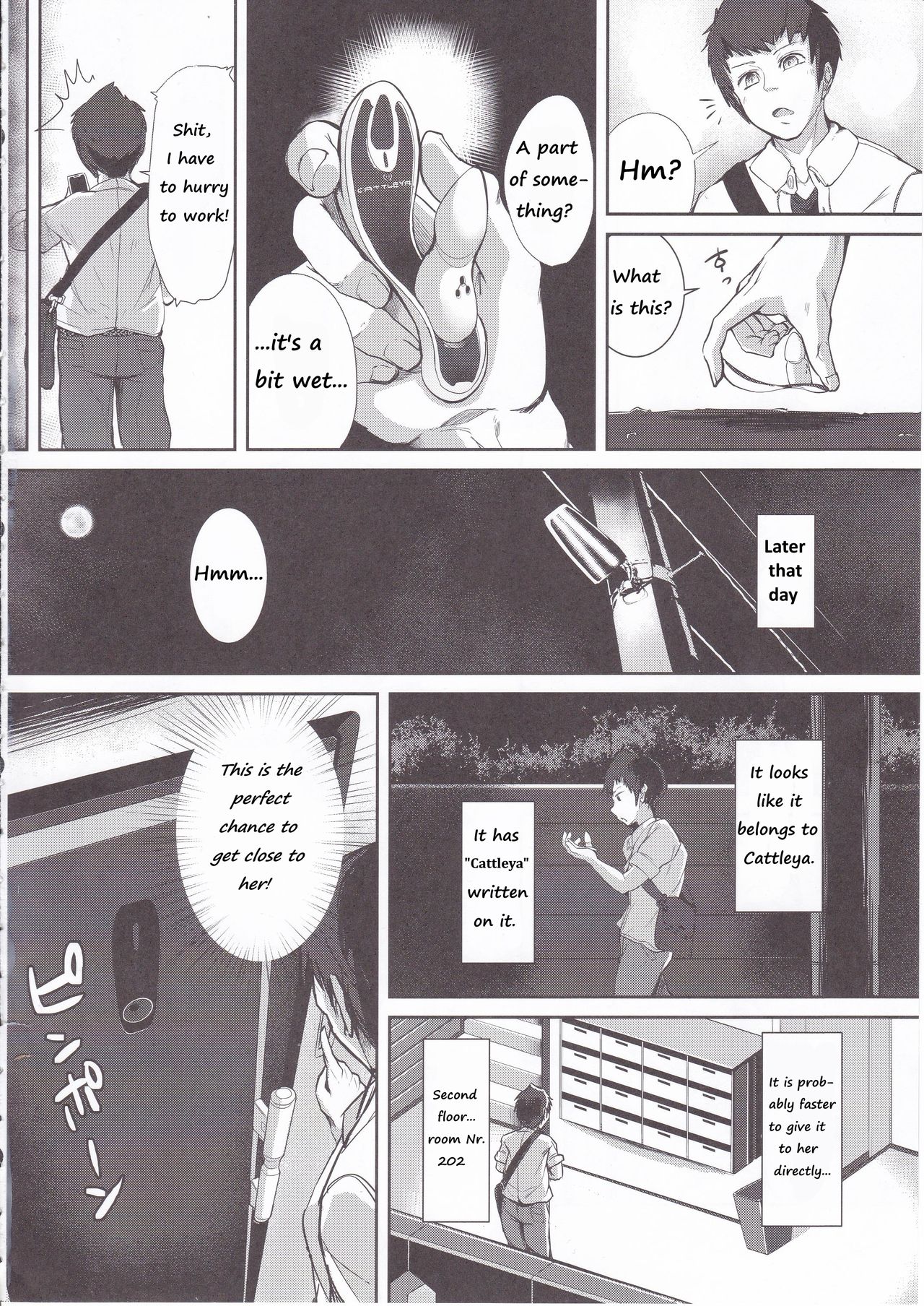 CATTLEYA -202 Goushitsu no Robo Musume- page 3 full