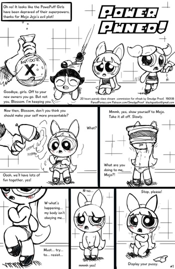 Power Pwned! cover