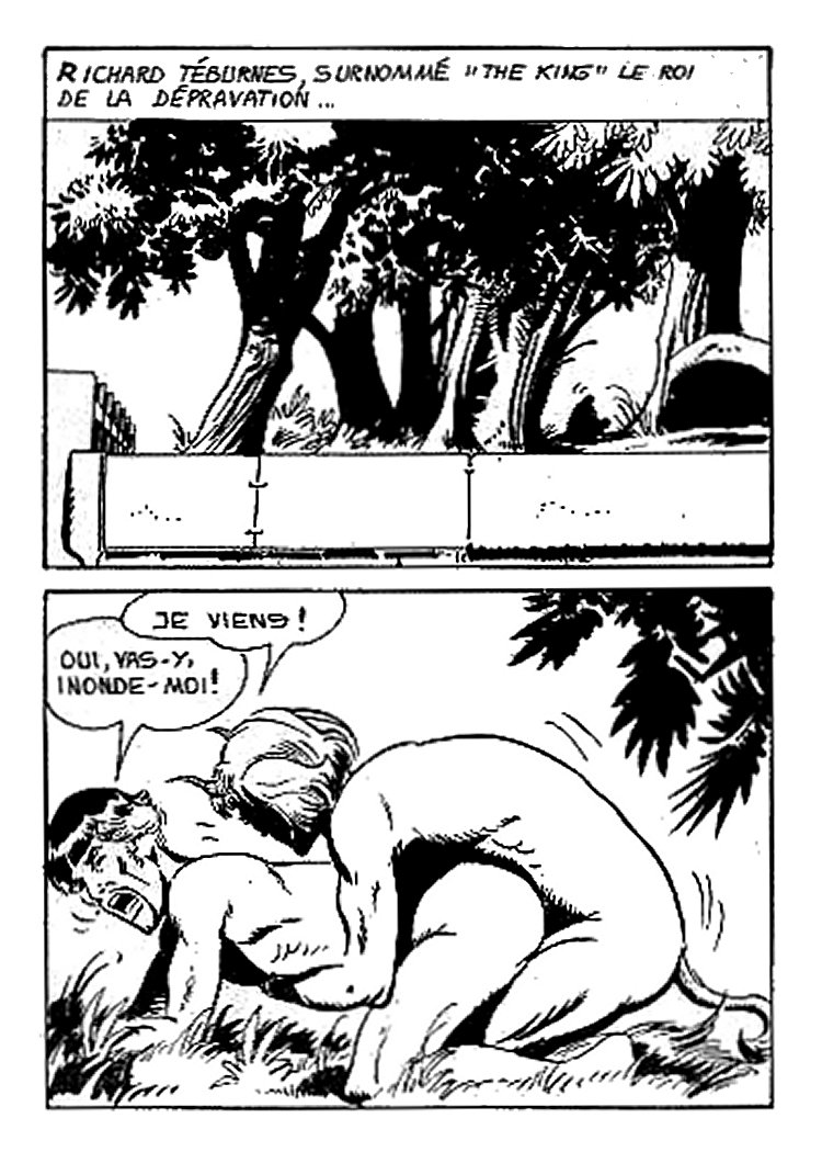Elvifrance - Joyeuses Story - 05 - Le Roi Richard page 10 full