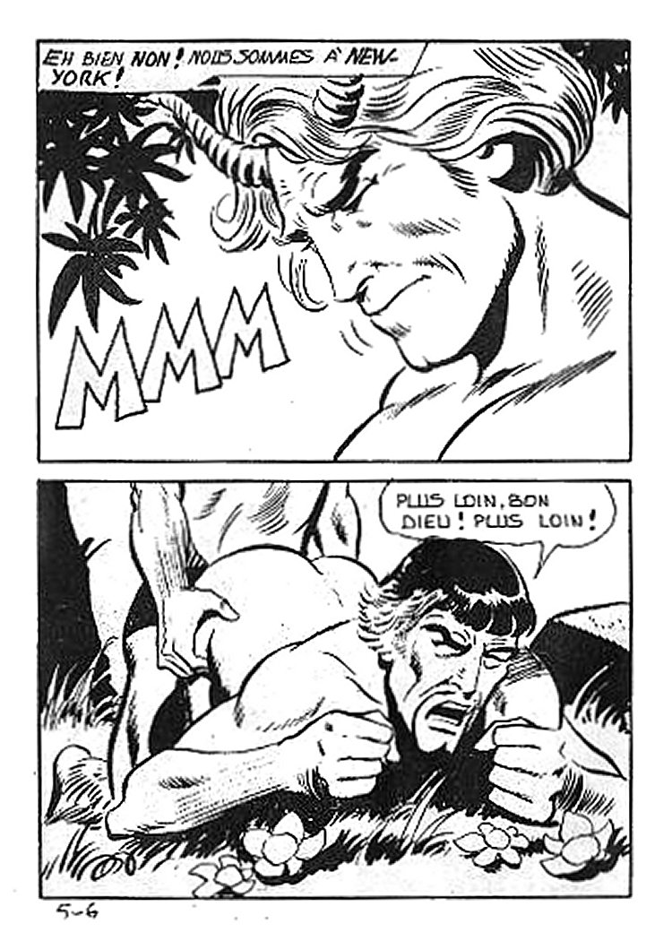 Elvifrance - Joyeuses Story - 05 - Le Roi Richard page 8 full