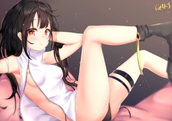 C-MS cover