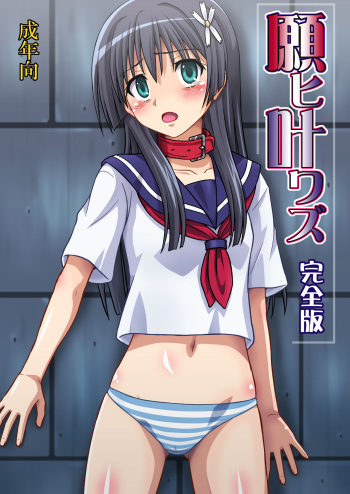 Negai Kanawazu Kanzenban cover