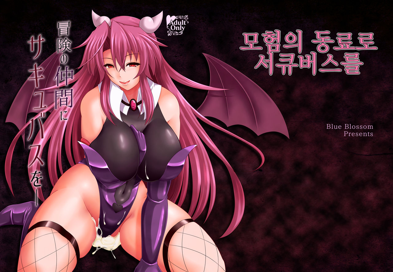 Bouken no Nakama ni Succubus o | 모험의 동료로 서큐버스를 page 1 full