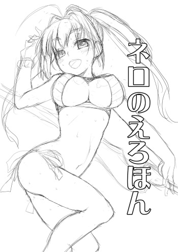 Nero no Erohon cover