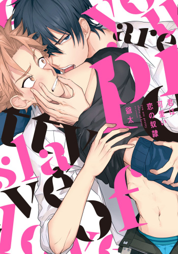 Kimi wa Kawaii Koi no Dorei cover