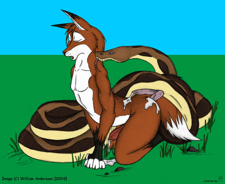 Furry Creampie Collection page 10 full