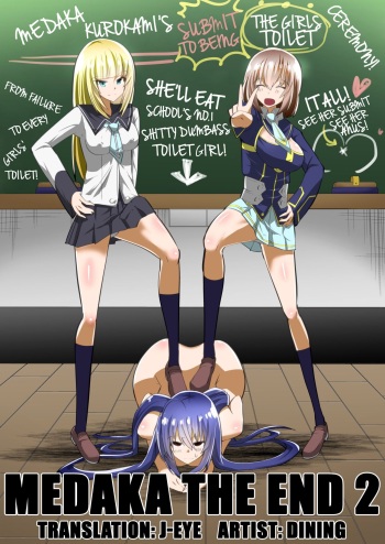 Medaka The End 2 cover