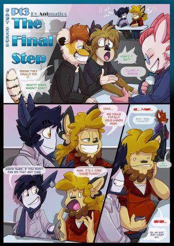 The Final Step cover