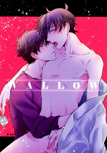 WALLOW cover